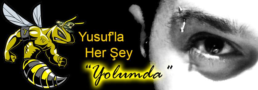 Ankara'dan - Moğolistan'a, Her Şey Yolumda