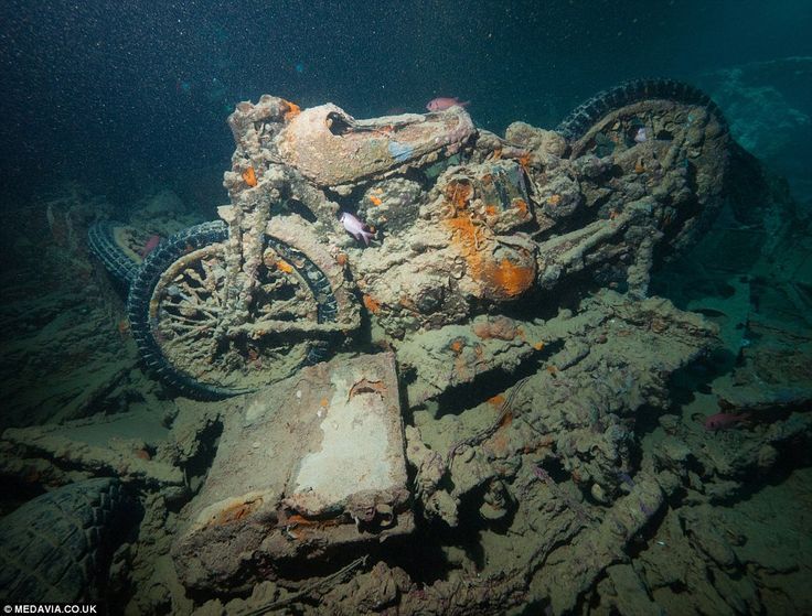 1941'de Kızıldeniz'de Batan Gemiden Askeri Motosiklet ve Araçlar Çıktı