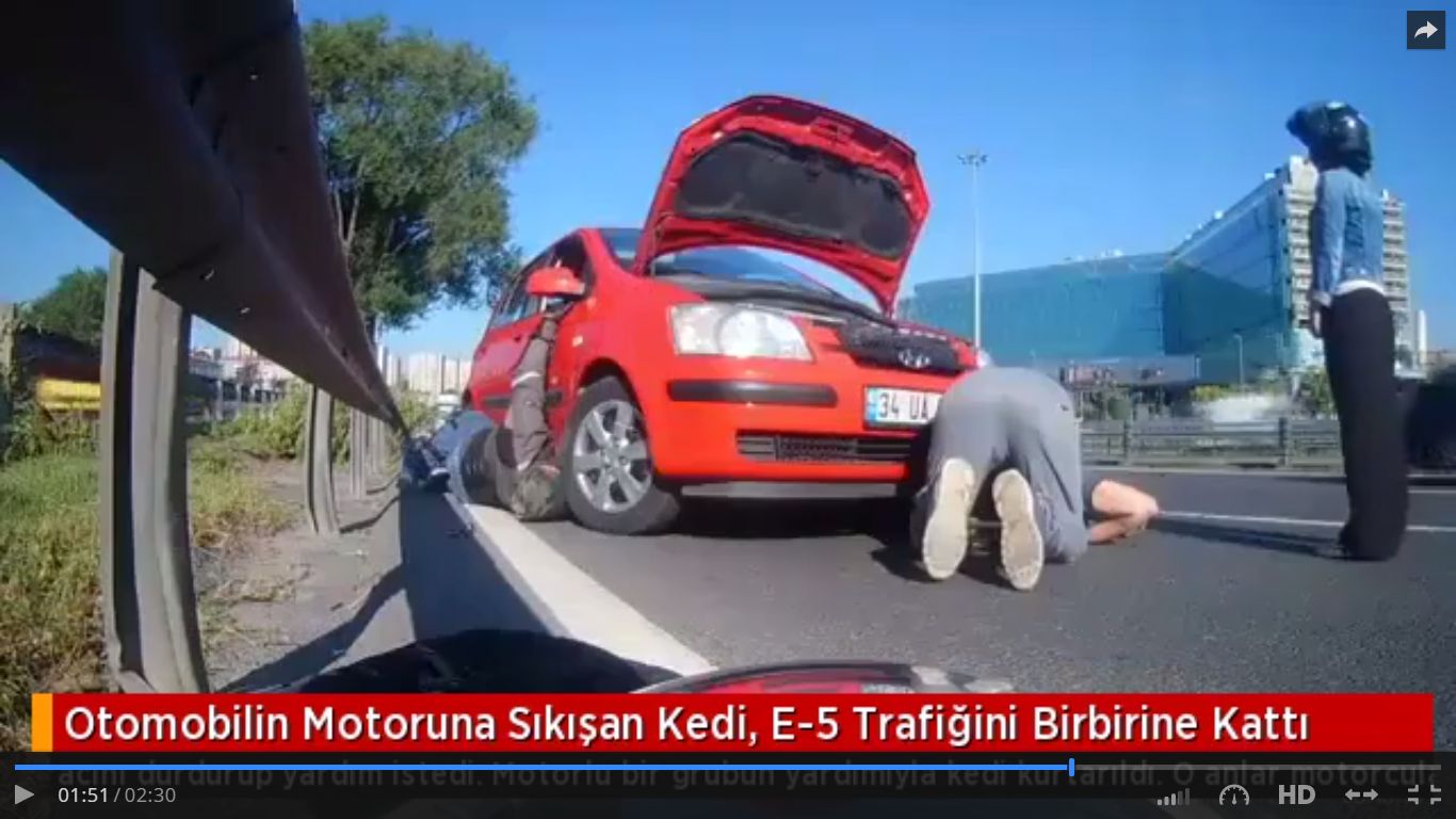 Motora Sıkışan Kedi, E-5 Trafiğini Birbirine Kattı