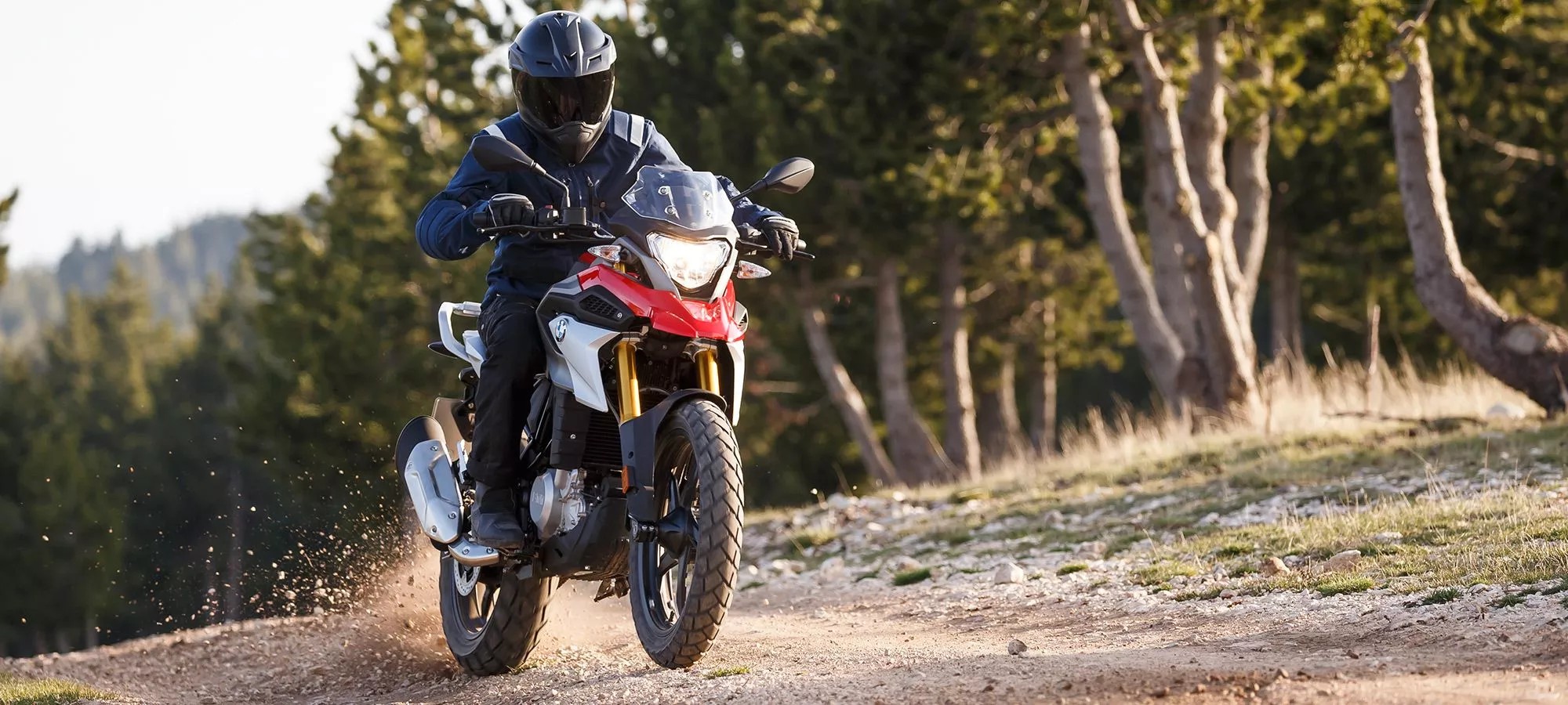 BMW G310GS 2018