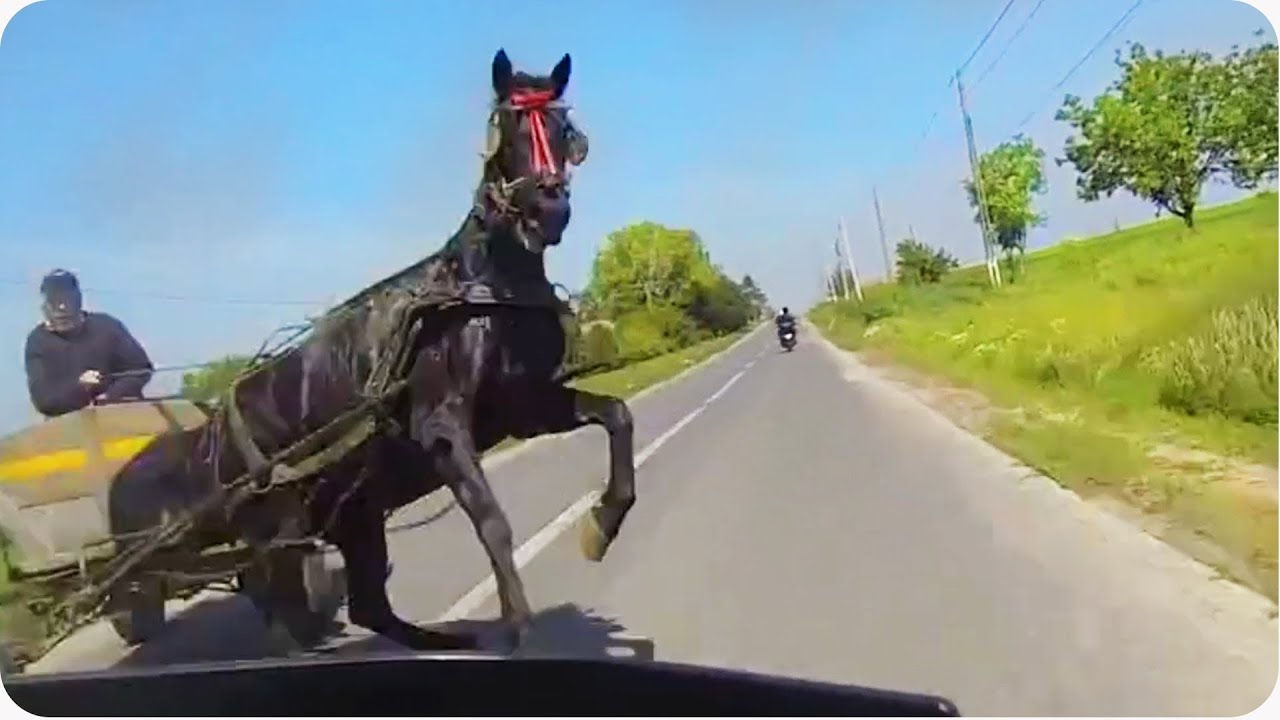 Yolda Ata Çarpan Motosikletliler - 2020