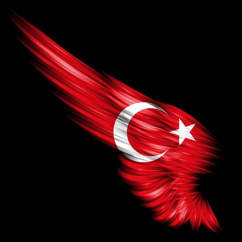 İdlib'den gelen haber yüreğimizi yaktı