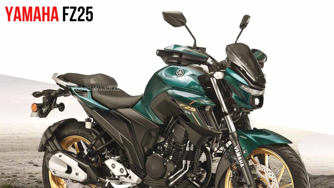 2020 Yamaha FZ25 ve FZS 25