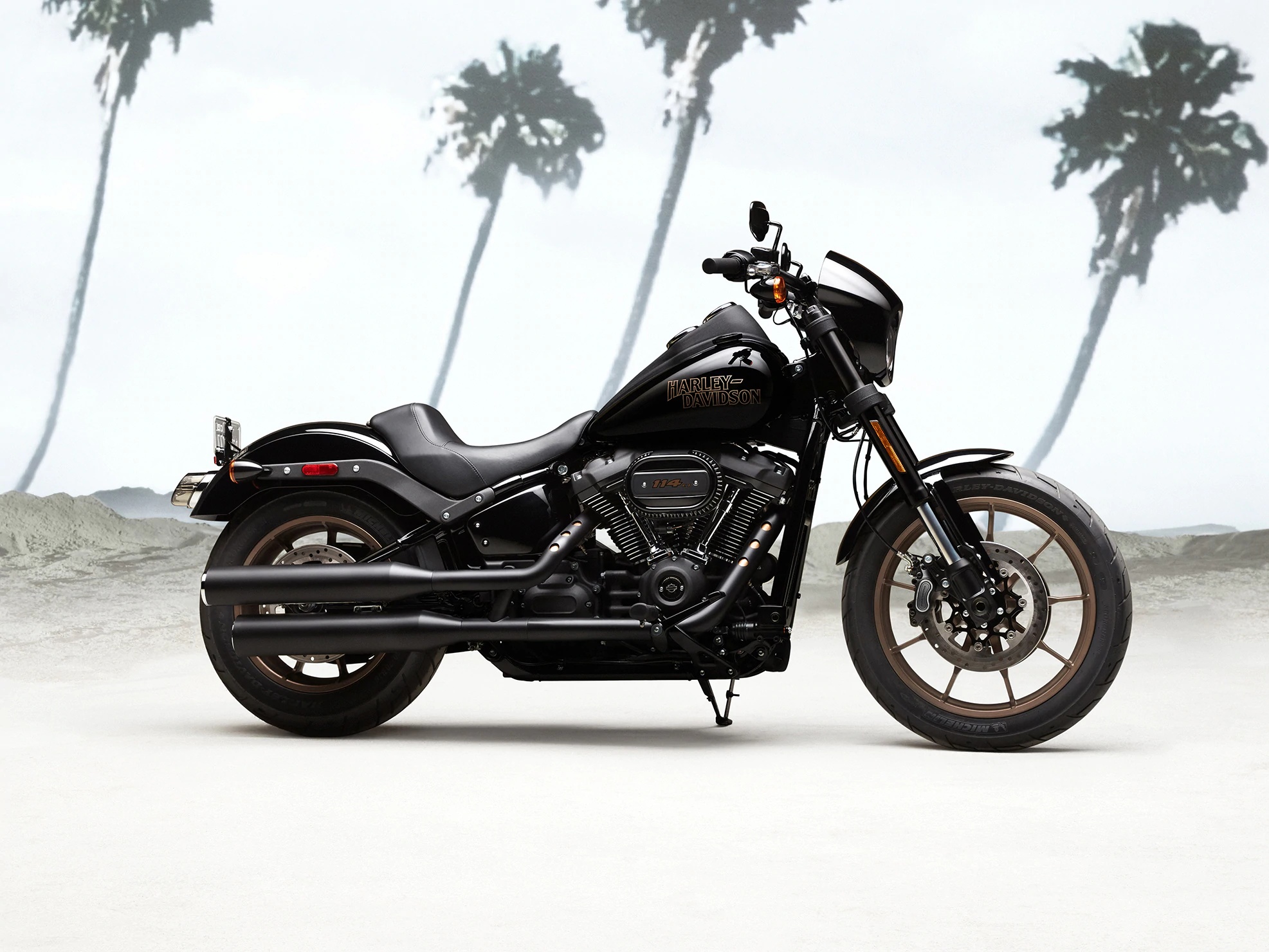 Harley-Davidson Low Rider, 2020