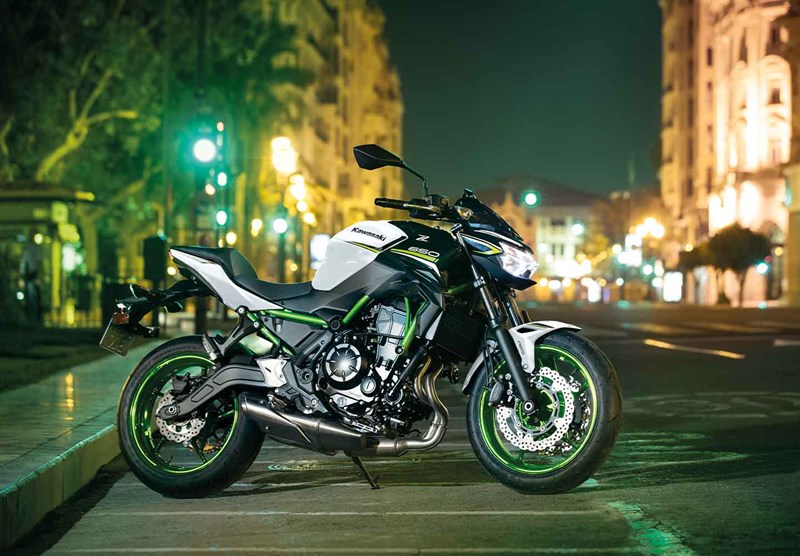 Kawasaki Z650, 2021