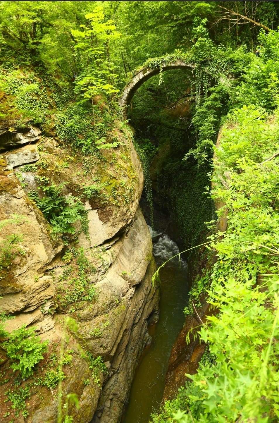 Artvin Banakna Köprüsü