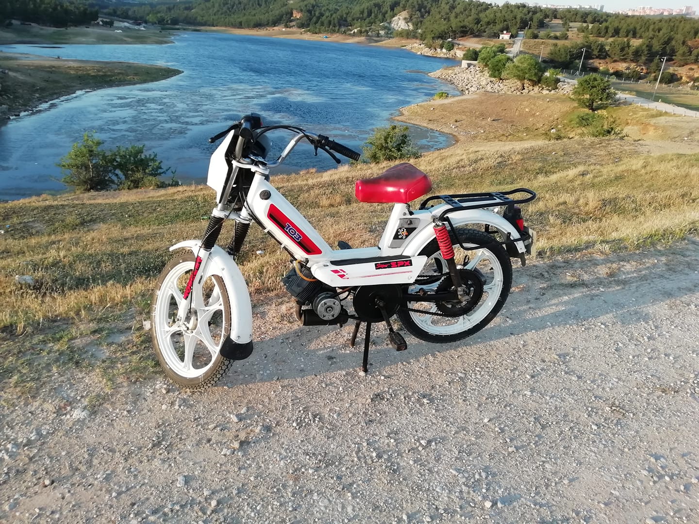 Deniz Güney, Nadir bulunan pejo 103 SPXL