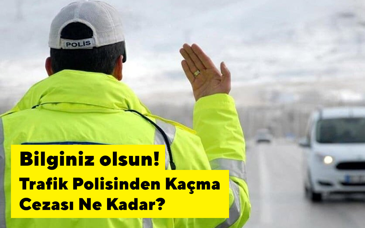 Trafik Cezaları 2024