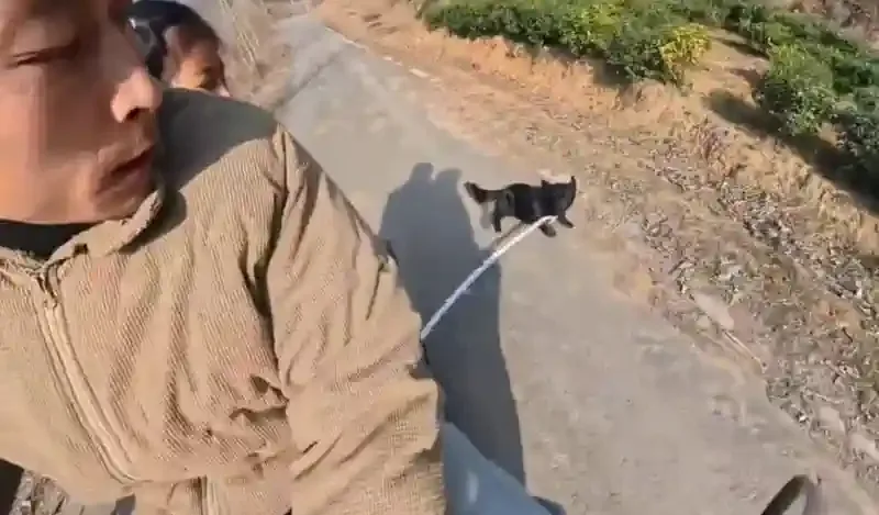 Motor Kovalayan Köpeklere dövme sopası icat etmiş