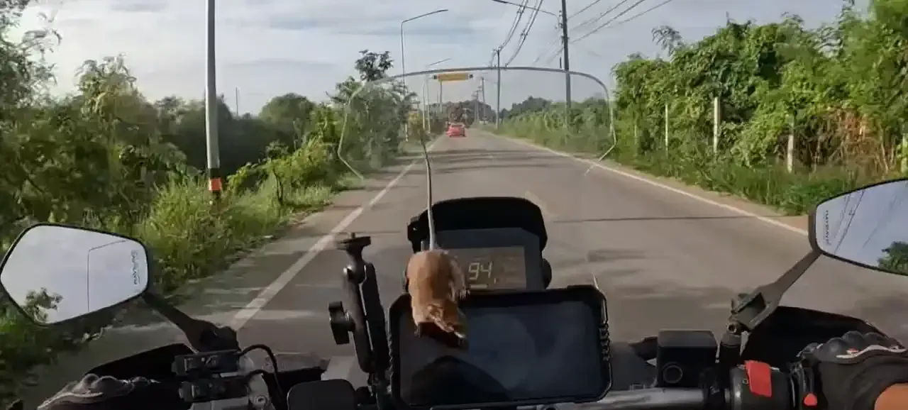 Motorda Fare mi?