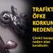 trafikte-ofke