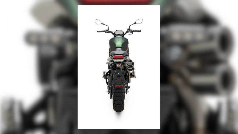 2020 benelli leoncino trail 800 1