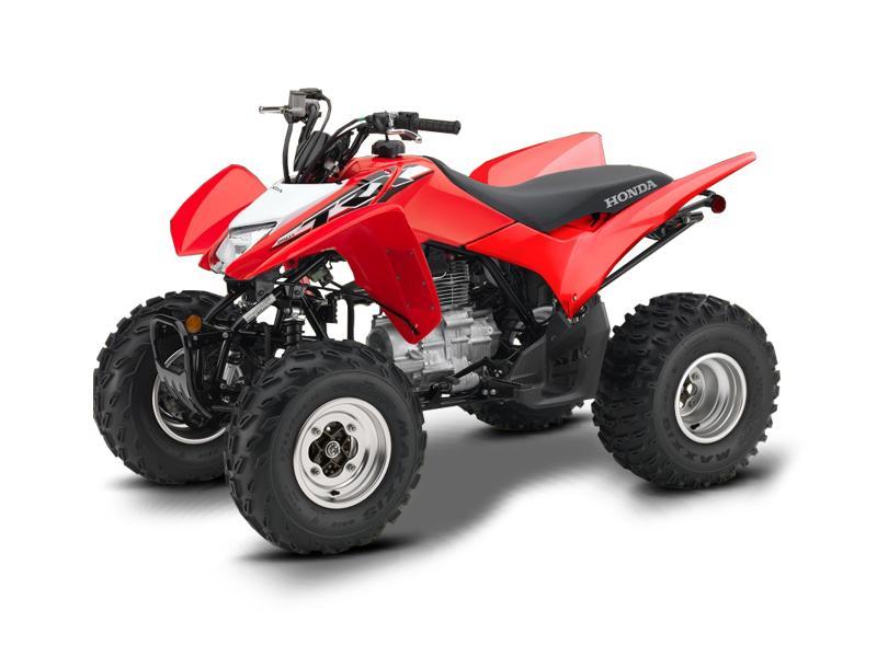 Honda TRX250X 2020 1