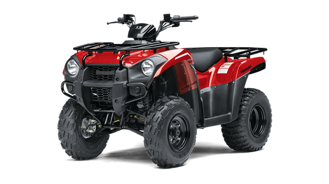 Kawasaki Brute Force 300