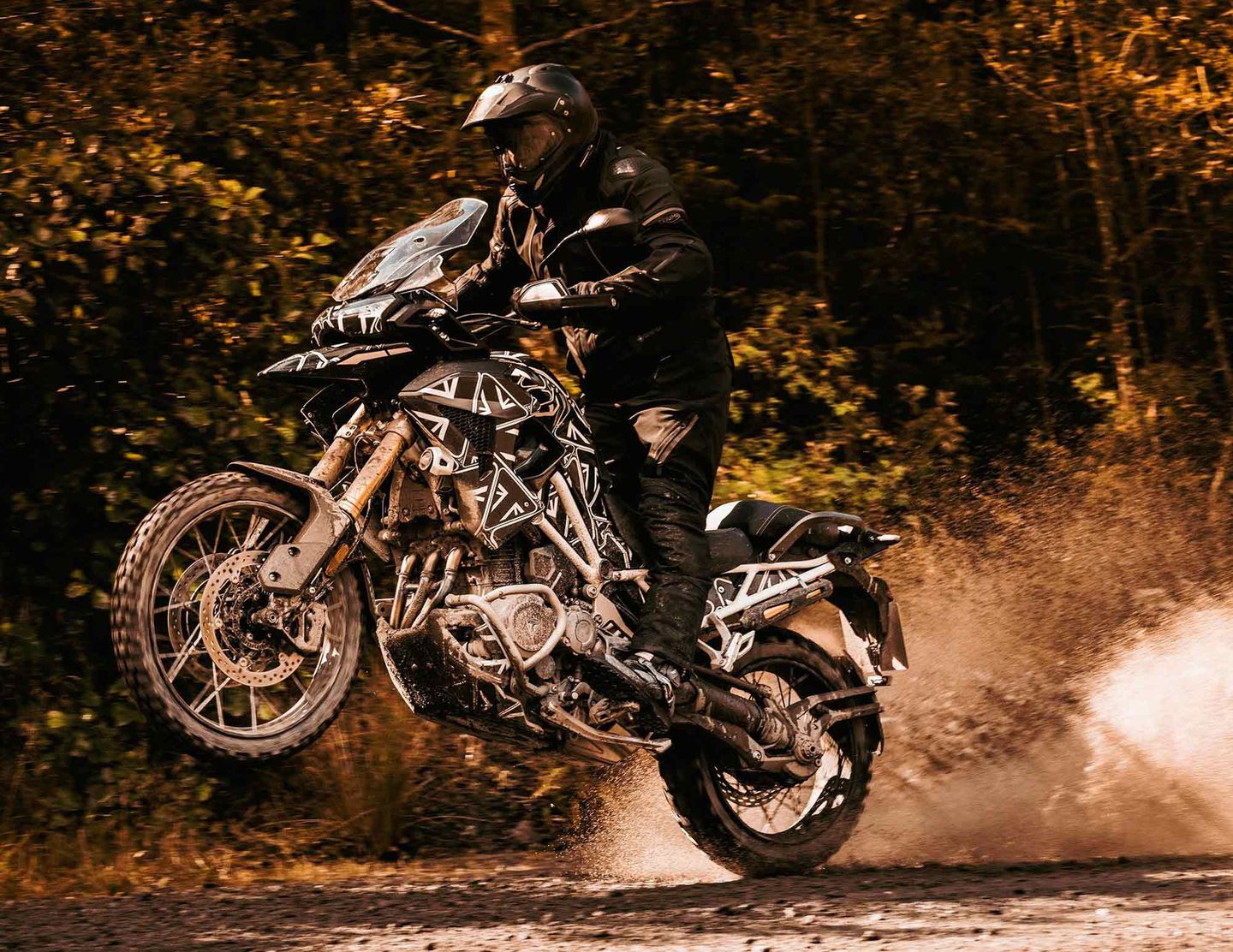 triumph tiger 1200