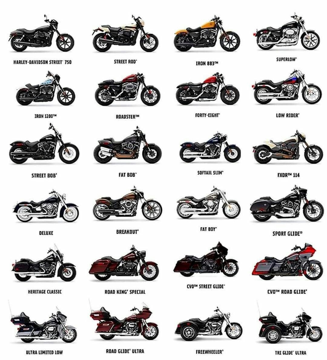 все виды мотоциклов фото