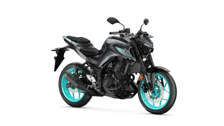 Yamaha MT-25 teknik veriler, fiyatlar, incelemeler